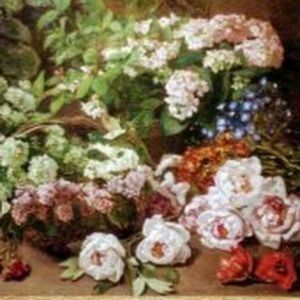 Meet your Posher, Macie